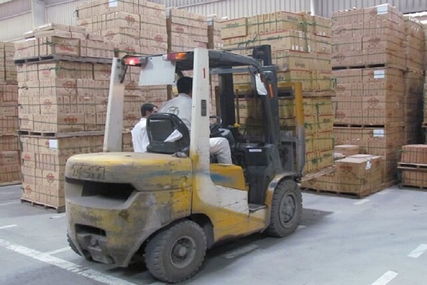 kiểm định xe nâng